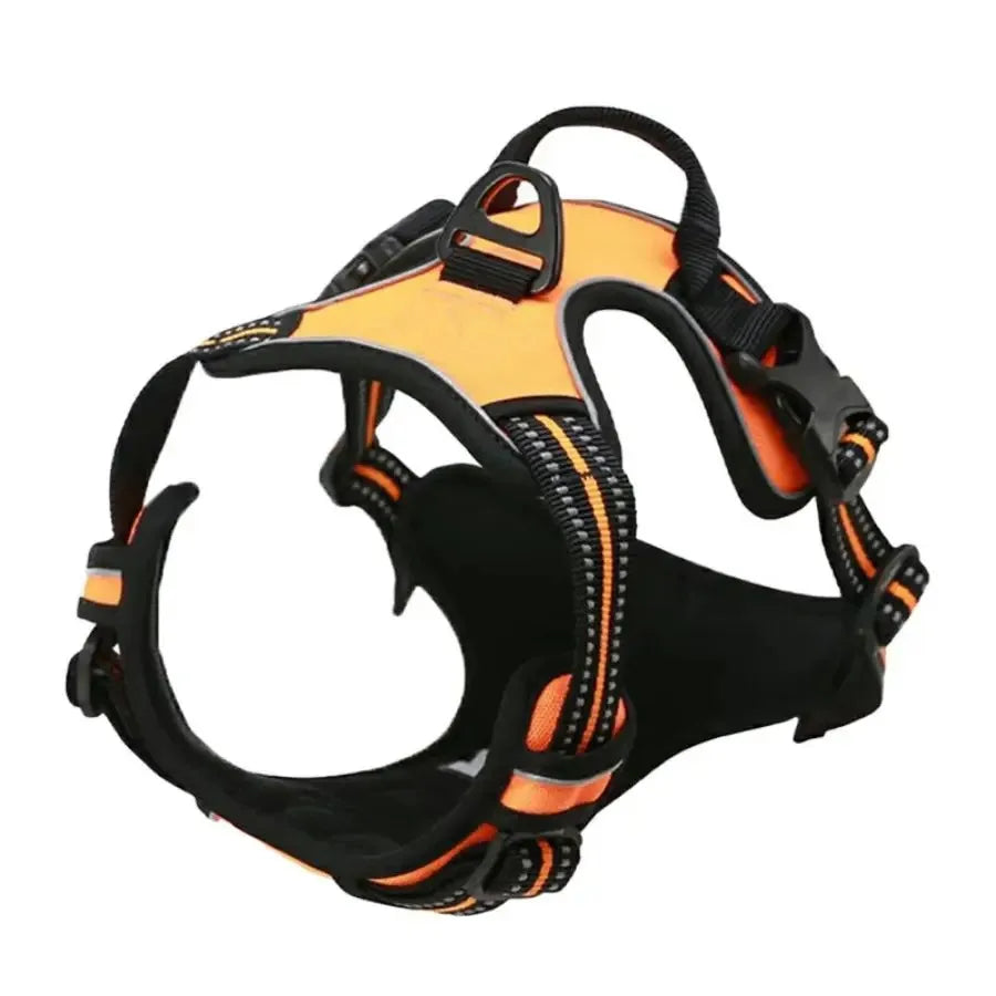 Dog Big Vest Harness Set for Training & Walks | Tenini Strive Pet