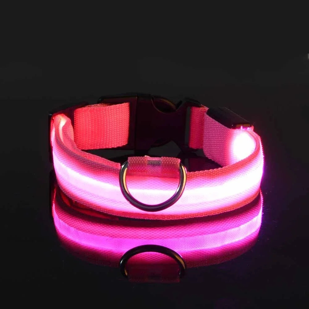 Dog Nylon LED Night Safety Collar -  Tenini Strive Pet