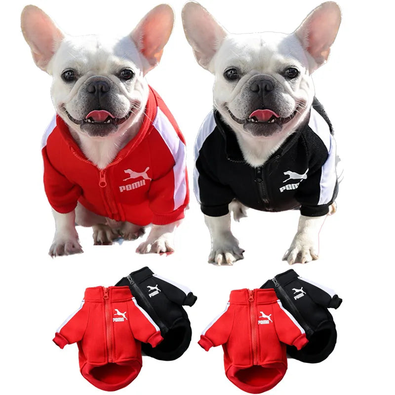 Winter Baseball Dog Jacket -  Tenini Strive Pet