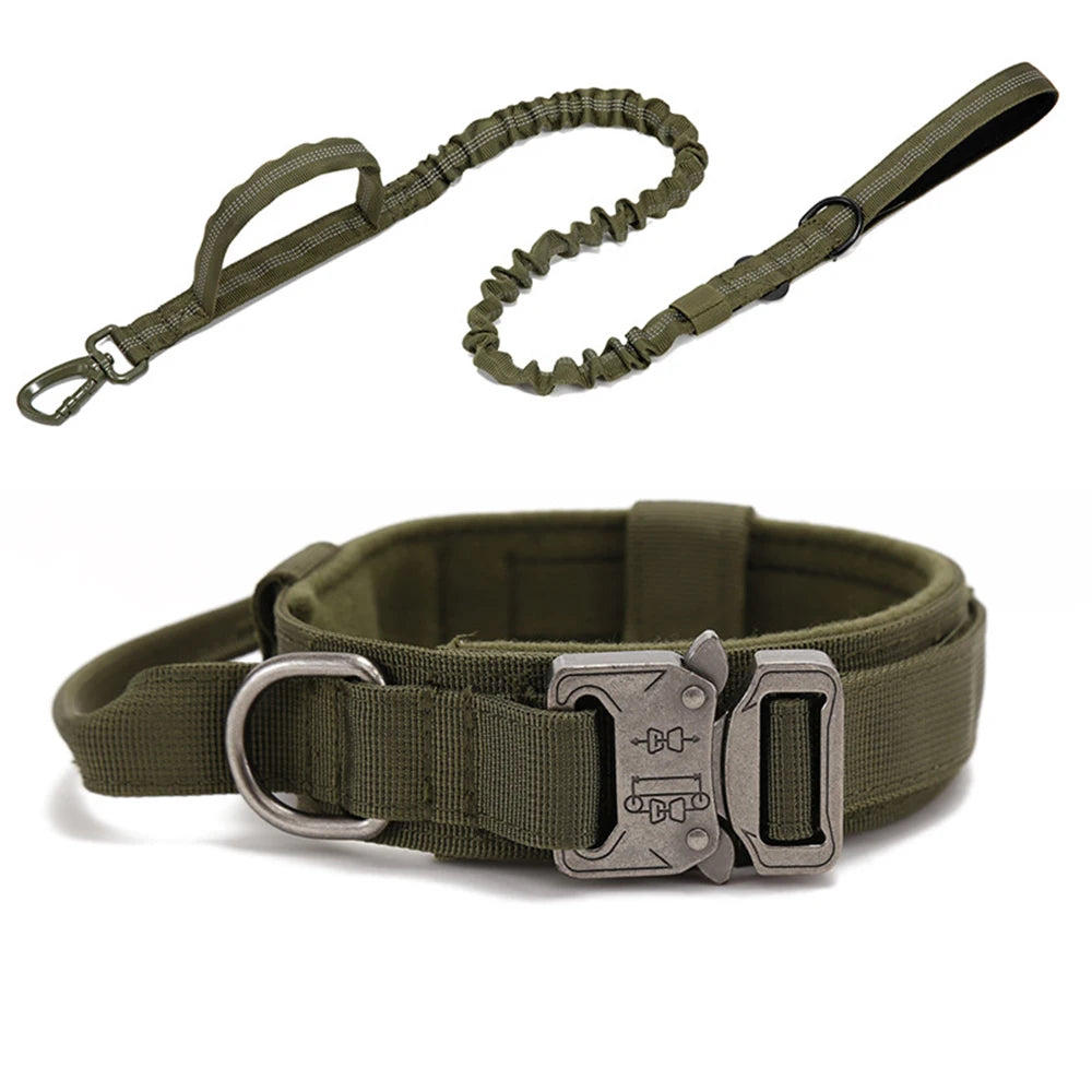 Nylon Dog Collar Leash Set -  Tenini Strive Pet