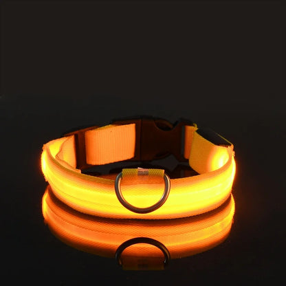 Dog Nylon LED Night Safety Collar -  Tenini Strive Pet
