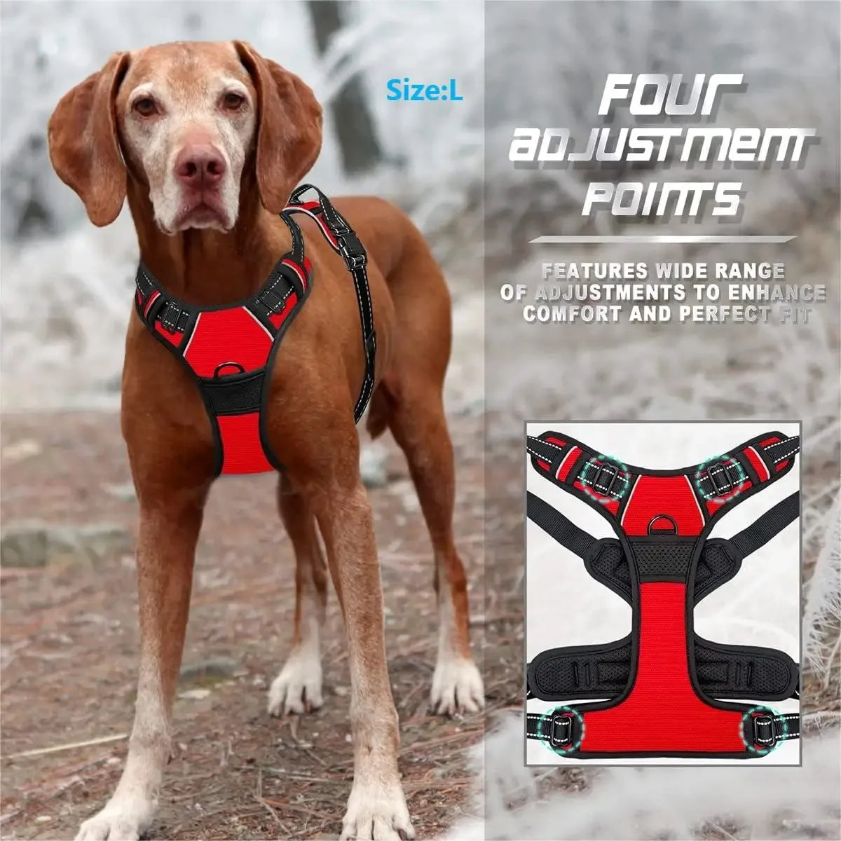 Dog Big Vest Harness Set for Training & Walks | Tenini Strive Pet