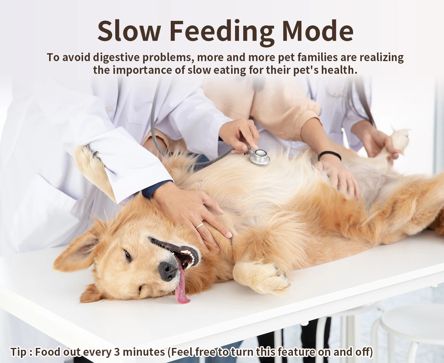 Smart Automatic Pet Feeder -  Tenini Strive Pet