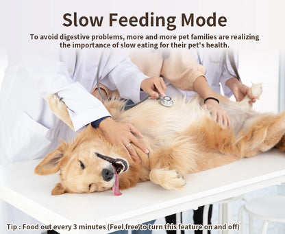 Smart Automatic Pet Feeder -  Tenini Strive Pet