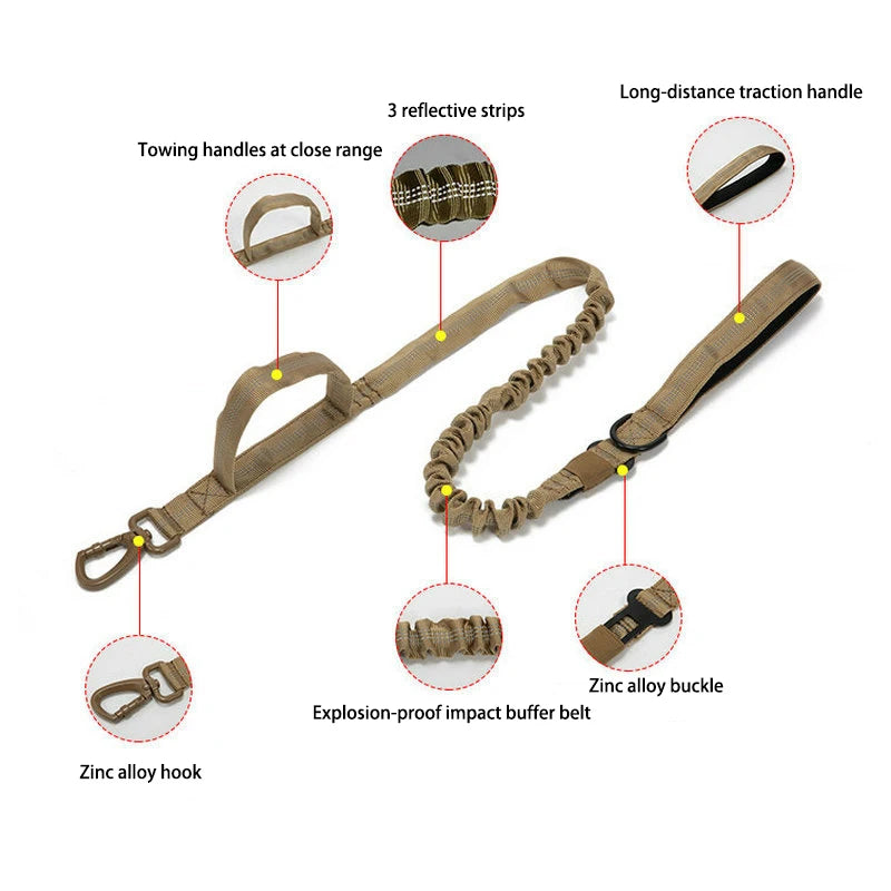 Nylon Dog Collar Leash Set -  Tenini Strive Pet