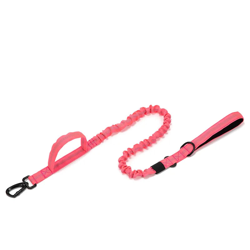 Nylon Dog Collar Leash Set -  Tenini Strive Pet