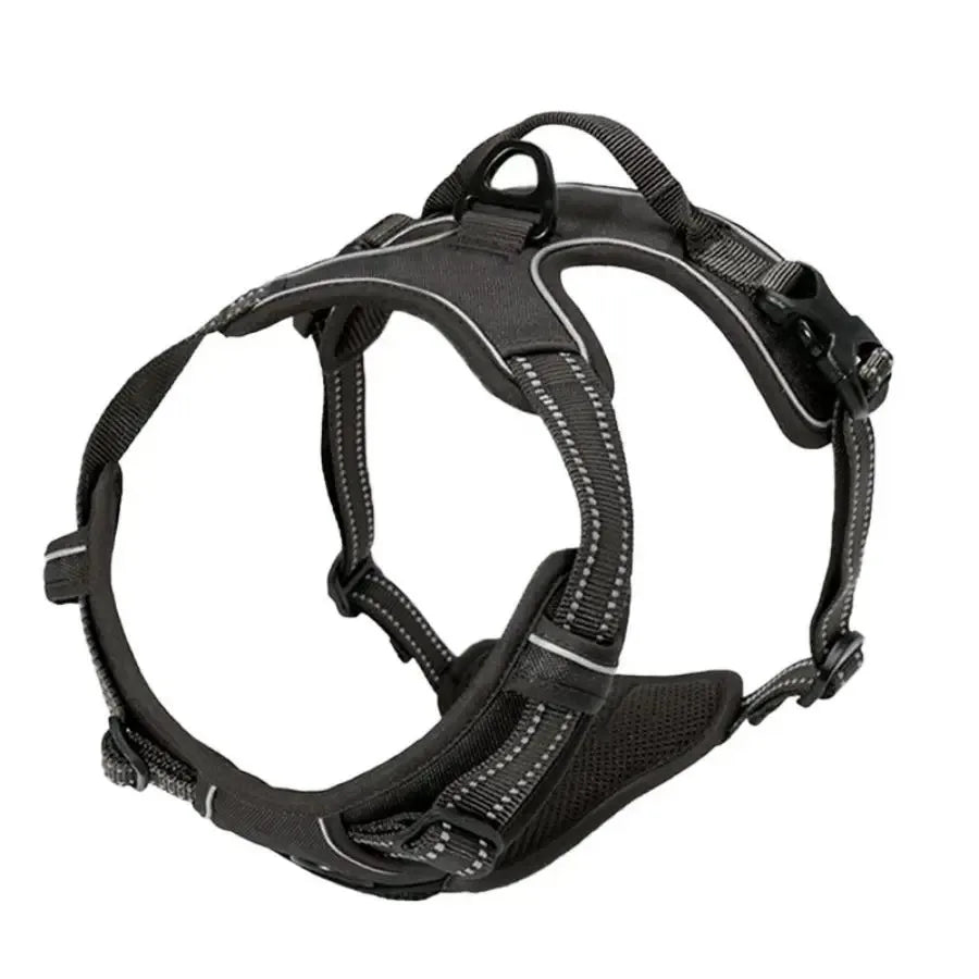 Dog Big Vest Harness Set for Training & Walks | Tenini Strive Pet